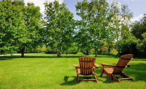 Quelle est la polyvalence des chaises longues de jardin ?插图
